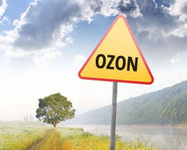 ozon 3c270 male