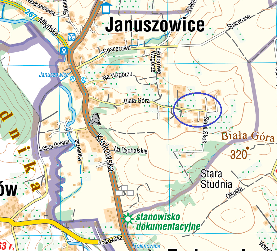 Januszowice