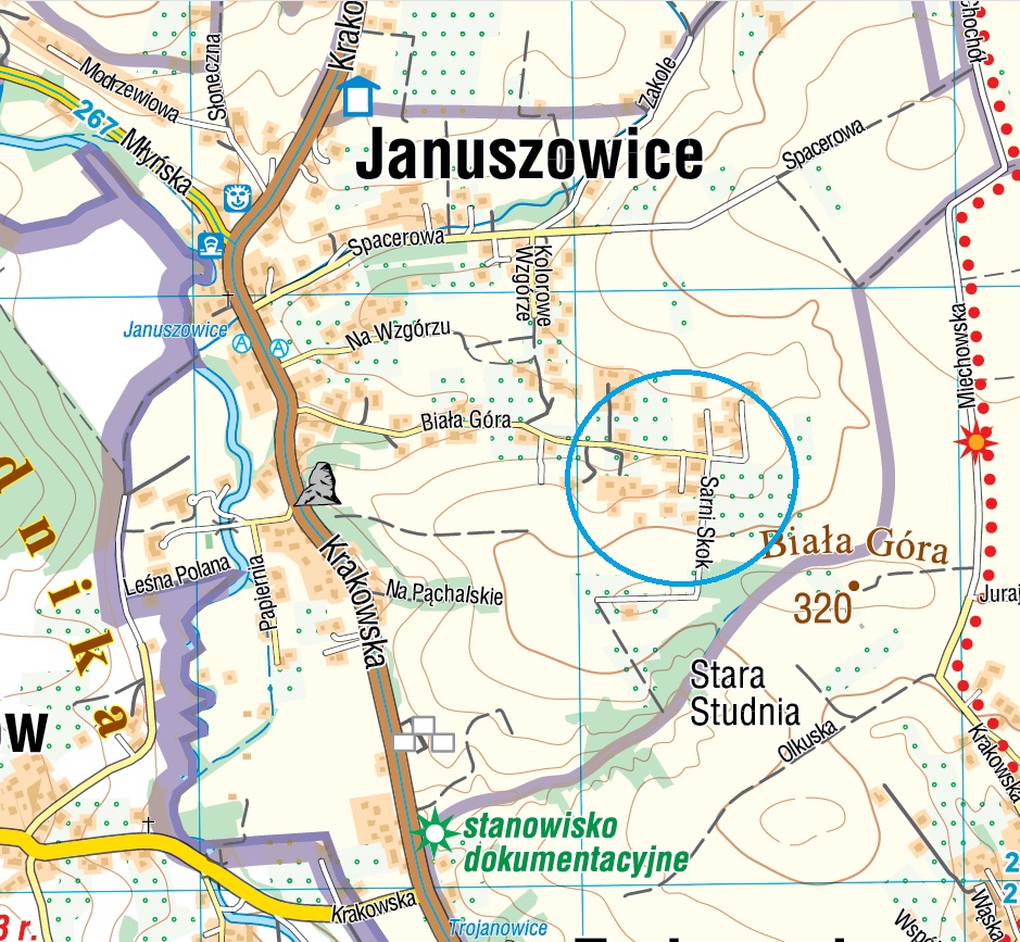 Januszowice BG SS
